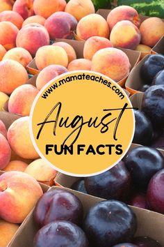 boxes filled with different types of plums and the words august fun fact on top