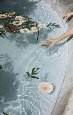 a person reaching for some flowers in the water