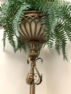 a lamp that is next to a plant on a table with some plants growing out of it