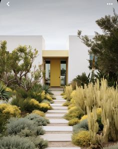 a house that is surrounded by plants and trees