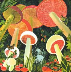 an image of mushrooms in the forest with butterflies on them and plants around it, as if they were from a children's book