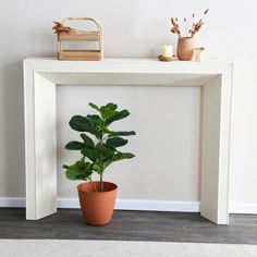 a potted plant sitting on top of a white table