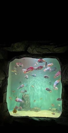 an aquarium filled with lots of fish under a stone wall at night, looking out into the water