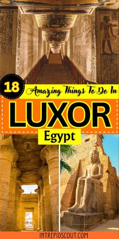 If you. are seeking a place that seamlessly blends ancient history with modern charm, Luxor deserves a prime spot on your Luxor bucket list. In this comprehensive guide, we will delve into a myriad of captivating things to do in Luxor, ensuring that your visit becomes an unforgettable journey through time and culture. Pyramids Egypt, Greece Travel Guide, Luxor Egypt, Visit Egypt, Egypt Travel, Global Travel, Africa Travel, Luxor, Travel Stories