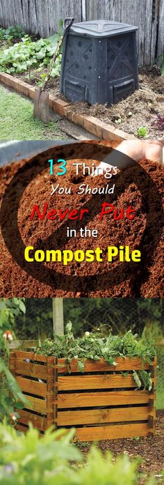 the garden is full of composting materials and there are some things to do in it