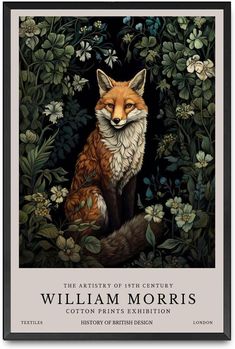 the front cover of an illustrated book with a fox