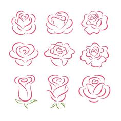 six different types of roses on a white background