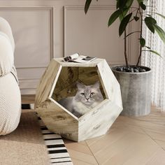 a cat in a wooden box sitting on the floor next to a potted plant