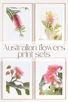 the australian flowers print sets are shown in four different frames