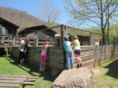 several children are looking over the fence at an animal exhibit in a park or zoo