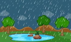 the rain is falling down on trees and a small pond with rocks in front of it