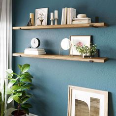 two wooden shelves on the wall with books and pictures above them, along with a potted plant