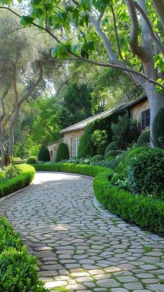 a cobblestone path leads to a house surrounded by trees and bushes