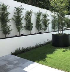 an outdoor garden with grass and trees in the middle, surrounded by a white fence