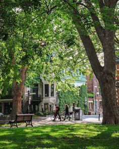 two people are walking down the sidewalk in front of some trees and buildings on a sunny day