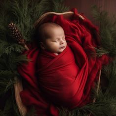 a newborn baby wrapped in a red blanket laying on top of pine cones and surrounded by greenery