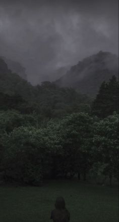 a person sitting on the ground in front of some trees and mountains under a cloudy sky