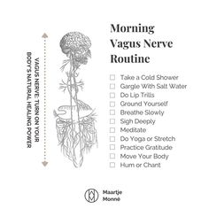 Vagus Nerve Activation, Vagus Nerve Yoga Poses, Vagus Nerve Exercise, Reset Nervous System, Heal Nervous System, Vagus Nerve Healing, Vagus Nerve Yoga, Vagus Nerve Damage, Para Sympathetic Nervous System