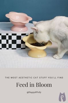 a white cat drinking out of a yellow bowl on top of a table next to two pink bowls