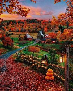 an autumn scene with pumpkins on the ground and houses in the background at sunset