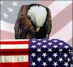 an eagle sitting on top of a table next to the american flag and another bald eagle