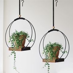 two hanging planters filled with green plants on wooden boards and black metal hoop holders