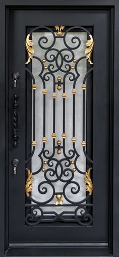 a black door with gold accents and a glass paneled front door that has an iron gate