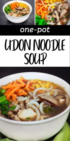 an image of a bowl of udon noodle soup