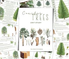 the complete tree unit study is shown with pine trees and other types of trees in it