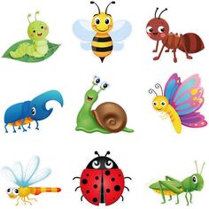 various bugs and insects are depicted in this illustration, including ladybugs, caterpillars, grasshoppers