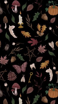 a black background with leaves, mushrooms and acorns