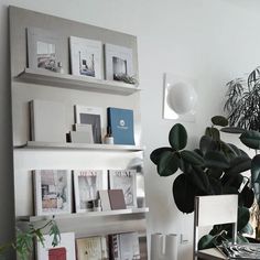 a living room filled with lots of plants and books on top of a wooden table