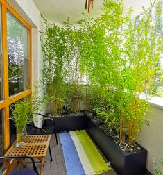 an outdoor area with plants and rugs on the floor