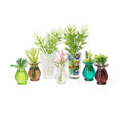 a group of vases filled with different types of flowers and plants in them on a white surface