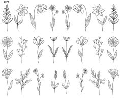 the different types of flowers and their stems are shown in black ink on white paper