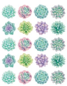 PRICES MAY VARY. Great for rewards, encouragement, prizes, arts and crafts, incentive charts and more Measures approximately 1" Comes with 120 stickers Pastel Succulents, Succulent Classroom, Bloom Theme, Incentive Charts, Pastel Classroom, Incentive Chart, Rainbow Classroom, Classroom Doors, Floral Graphics