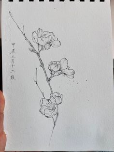 a drawing of some flowers on a piece of paper