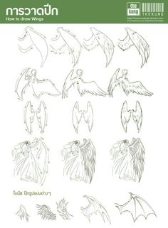 an image of various angel designs on a white sheet with the words nurream above it