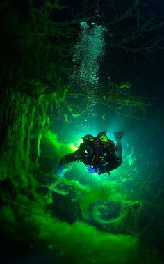 a scuba diver swims through the water in an underwater cave with green algae growing on it