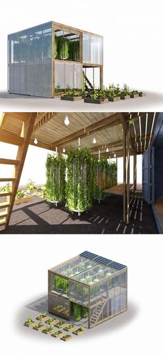 two images show the inside and outside of a house with plants growing out of it