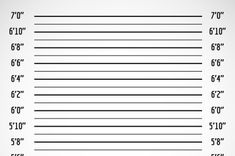 a ruler with lines drawn on it and the numbers in each line are shown below