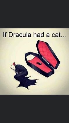 an image of a cat in a box with the caption if dracula had a cat