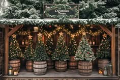 christmas trees are on display in front of a wooden shed with barrels and lights around them