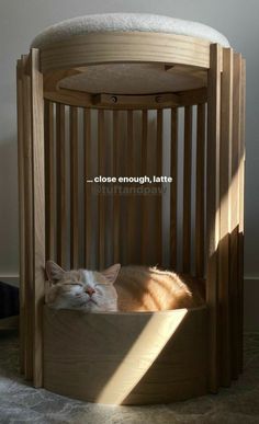 an orange and white cat laying in a wooden chair with the caption close enough late