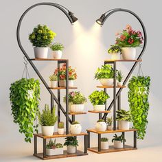 a heart - shaped plant stand with potted plants and hanging lights on the wall