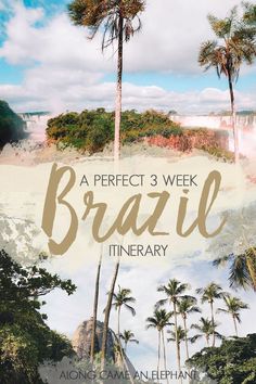 a book cover with palm trees and the words, a perfect 3 week brazil itinerary