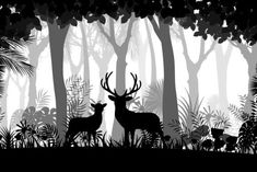 two deers in the forest with trees and plants royalty - art fotor