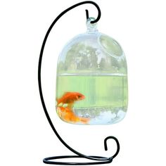 Description: This vase fishbowl has a hanging hole and bracket design. It can be placed in the bedroom, kitchen, and living room as a decorative item. Equipped with a transparent design, it is very suitable to put flowers, plants, goldfish and other items as decoration, and can also be used as a candle holder or tea light to add sweetness and warmth to dinner. The glass bottle is made of glass material, and the bracket is made of metal material. The length of the vase fishbowl is 15cm, and the w Desk Hanging, Hanging Glass Vase, Aquarium Lamp, Glass Fish Bowl, Fish Tank Stand, Small Fish Tanks, Fish Tank Design, Fish Vase, Mini Aquarium