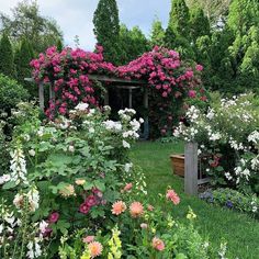 a garden filled with lots of flowers next to a lush green field covered in pink and white flowers