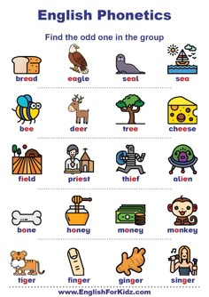 Phonics activities - printable worksheet for ESL and EFL students Phonics Test Worksheet, 1st Grade Vocabulary, Letters With Pictures, English Alphabet Letters